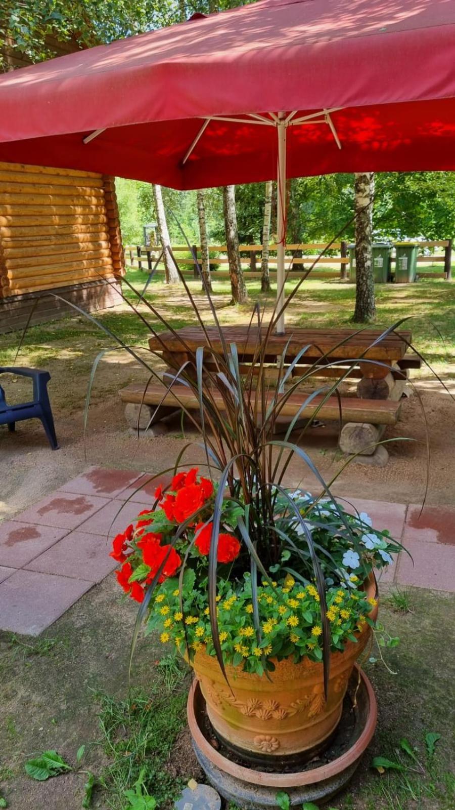 Camping Oskalns Cesis Exterior photo